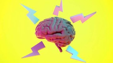 Brain Myths: 4 Myths About The HUMAN BRAIN Busted!