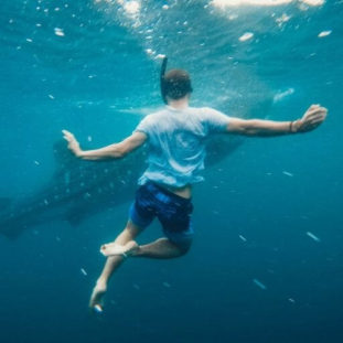 Psychology Test Reveals About What Do You Seek In Life