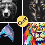 Quiz: A Quick Test Will Show Your Sleep Chronotype - Get Better Sleep