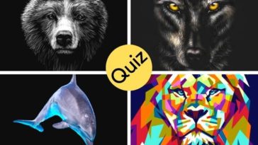 Quiz: A Quick Test Will Show Your Sleep Chronotype - Get Better Sleep