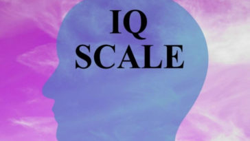 brainable iq test