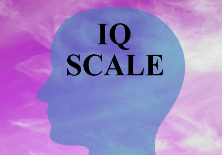 brainable iq test