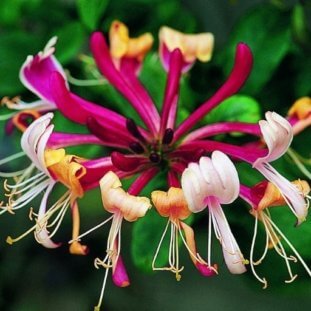 Can We Guess Which Season You Were Born In