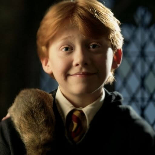 Hardest HARRY POTTER Questions (Only Real Fans Can Complete