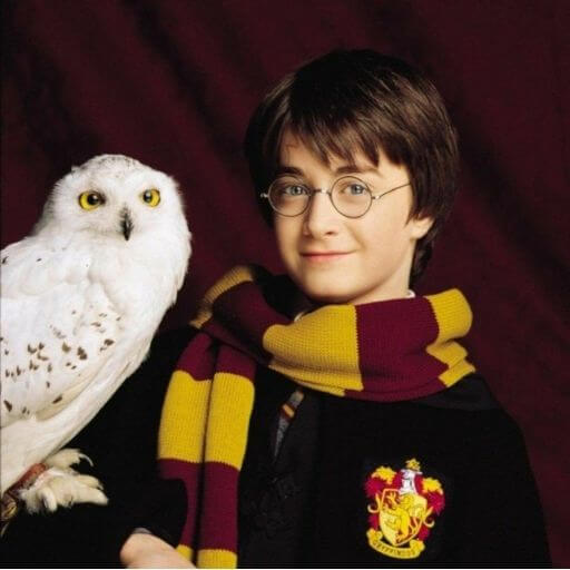 Hardest HARRY POTTER Questions (Only Real Fans Can Complete)