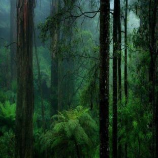 Tell Your Future With This Personality Test