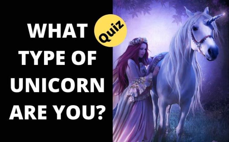 WHAT TYPE OF UNICORN ARE YOU