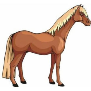 WHAT TYPE OF UNICORN ARE YOU