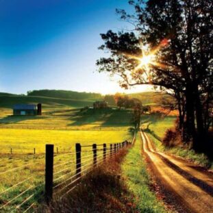 Is My HEART Happy or Sad (1)