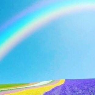 Is My HEART Happy or Sad