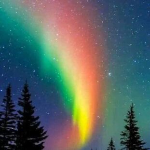 Is My HEART Happy or Sad