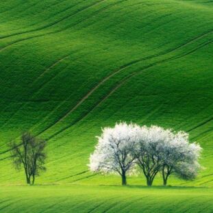 Is My HEART Happy or Sad