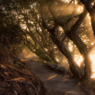 Is My HEART Happy or Sad