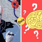 How Good Are You At Psychology Quiz