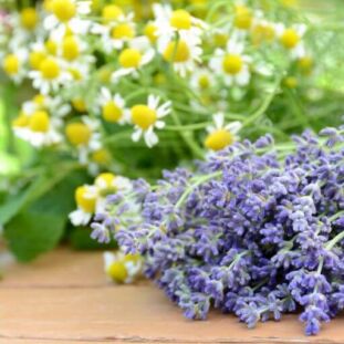 What's Your Perfect Way to De-Stress & Recharge (11) (1)