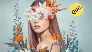 What's Your Creativity Style (1)
