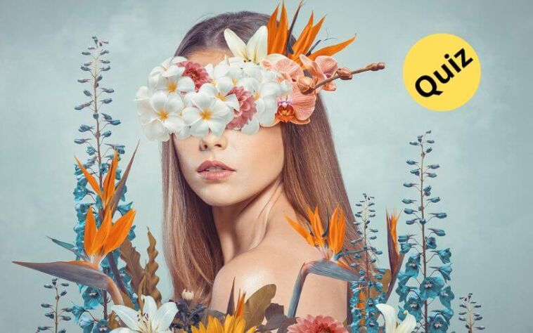 What's Your Creativity Style (1)