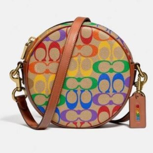 Dress Yourself As A Mom And We’ll Reveal Your Mom Aesthetic (19) (1) Circle bag