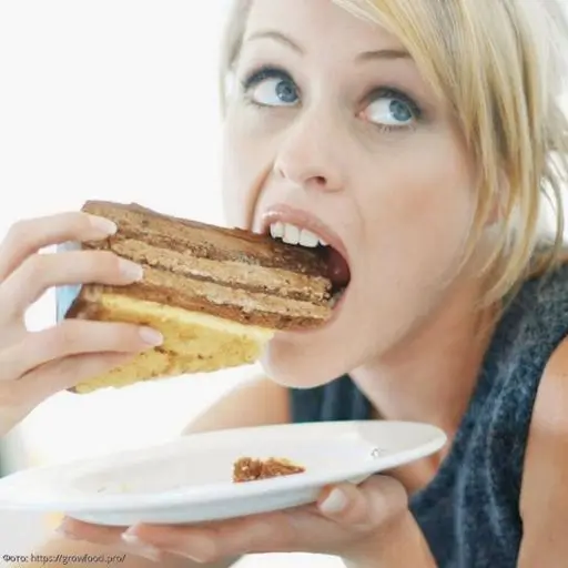 What Psychological Paradox Defines Your Duality (8) junk food
