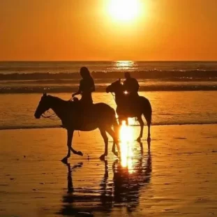 Which Love Islander Matches Your Personality (2) couple Horseback riding at sunset