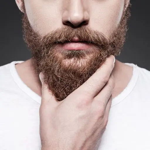 facial hair beard