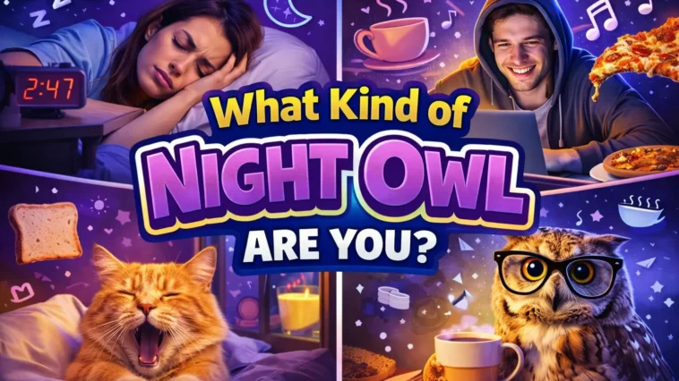 What Kind of Night Owl Are You?