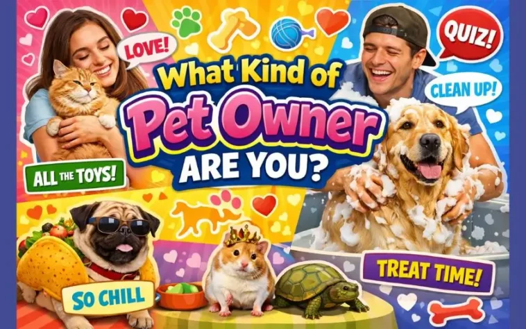 What Kind of Pet Owner Are You?